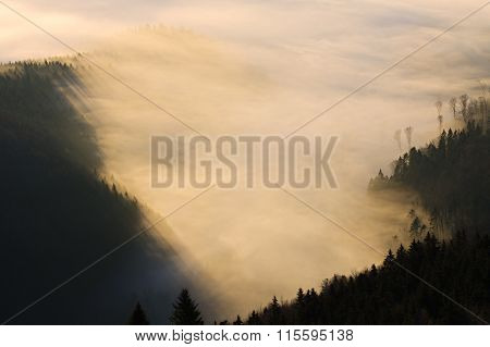Autumn landscape