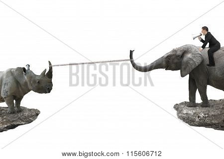 Man Sitting On Elephant Against Rhinoceros With Rope Pulling