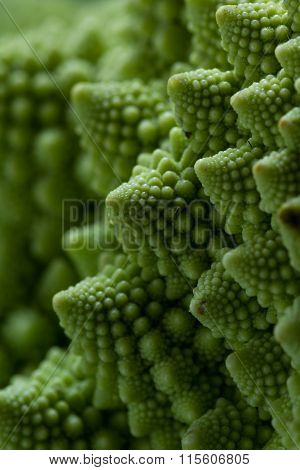 Romanesco Broccoli Close Up