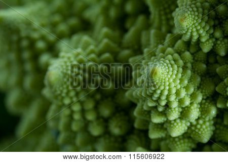 Romanesco Broccoli Close Up