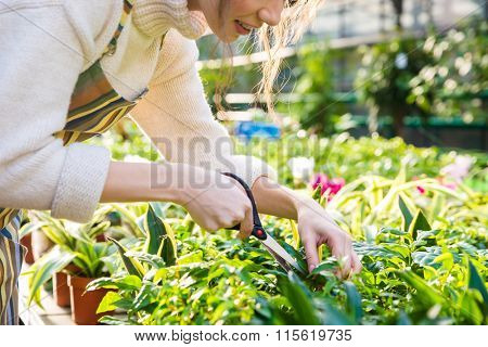 Cute young woman gardener cutting plants with garden scissors in greenhouse  