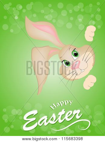 Brown Easter bunny