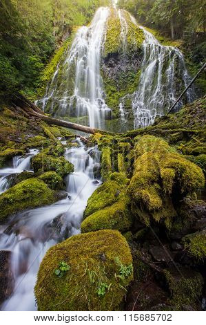 Proxy Falls And Mossy Logs In Oregon