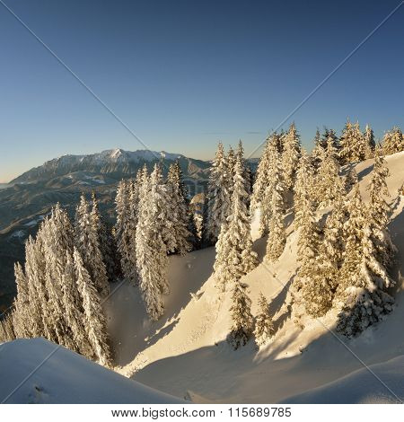 Winter Story. Sunrise At The Top Of Postavarul Mountain. Brasov Romania. Low Key, Dark Background, S