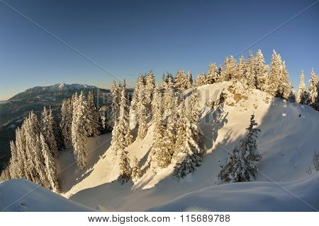 Winter Story. Sunrise At The Top Of Postavarul Mountain. Brasov Romania. Low Key, Dark Background, S