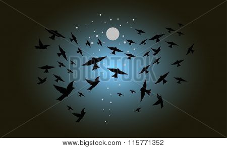 Birds