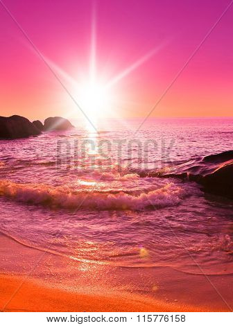 Tripical Background Pink Sunset 