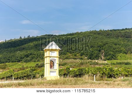 wayside with vineyard near Retz, Lower Austria, Austria