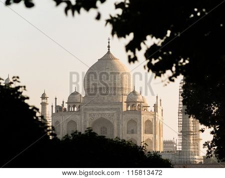 View From Mehtab Bagh To Taj Mahal