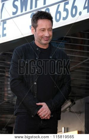 LOS ANGELES - JAN 25:  David Duchovny at the David Duchovny Hollywood Walk of Fame Star Ceremony at the Fox Theater on January 25, 2016 in Los Angeles, CA