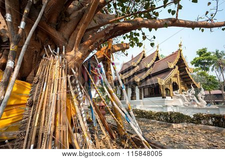 Wooden Props Support An Old Bodhi Tree In The Grounds Of Wat Jed Yod, Chiang Mai, Thailand