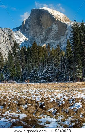 Half Dome Yosemite National Park
