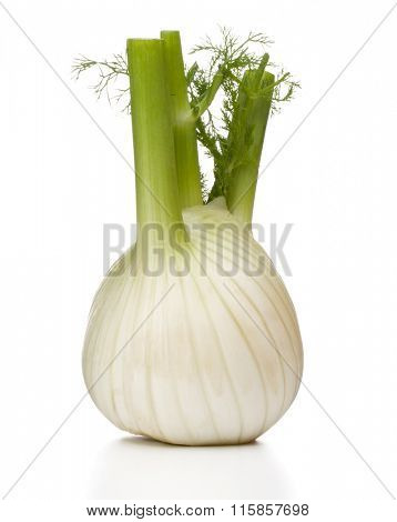 Fresh fennel bulb isolated on white background close up