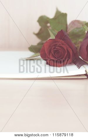 Red Roses On Notebook Prepare To Gift On Valentine's Day