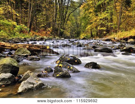 Mountain stream