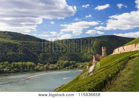 Ruin Of Medieval Castle Ehrenfels