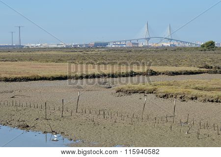 Cadiz Bridge