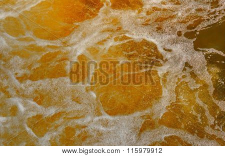 Beer in the cooking process