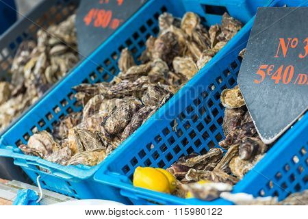 Oysters Market In Cancale, France