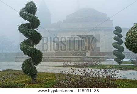 The Winter Ornamental Garden