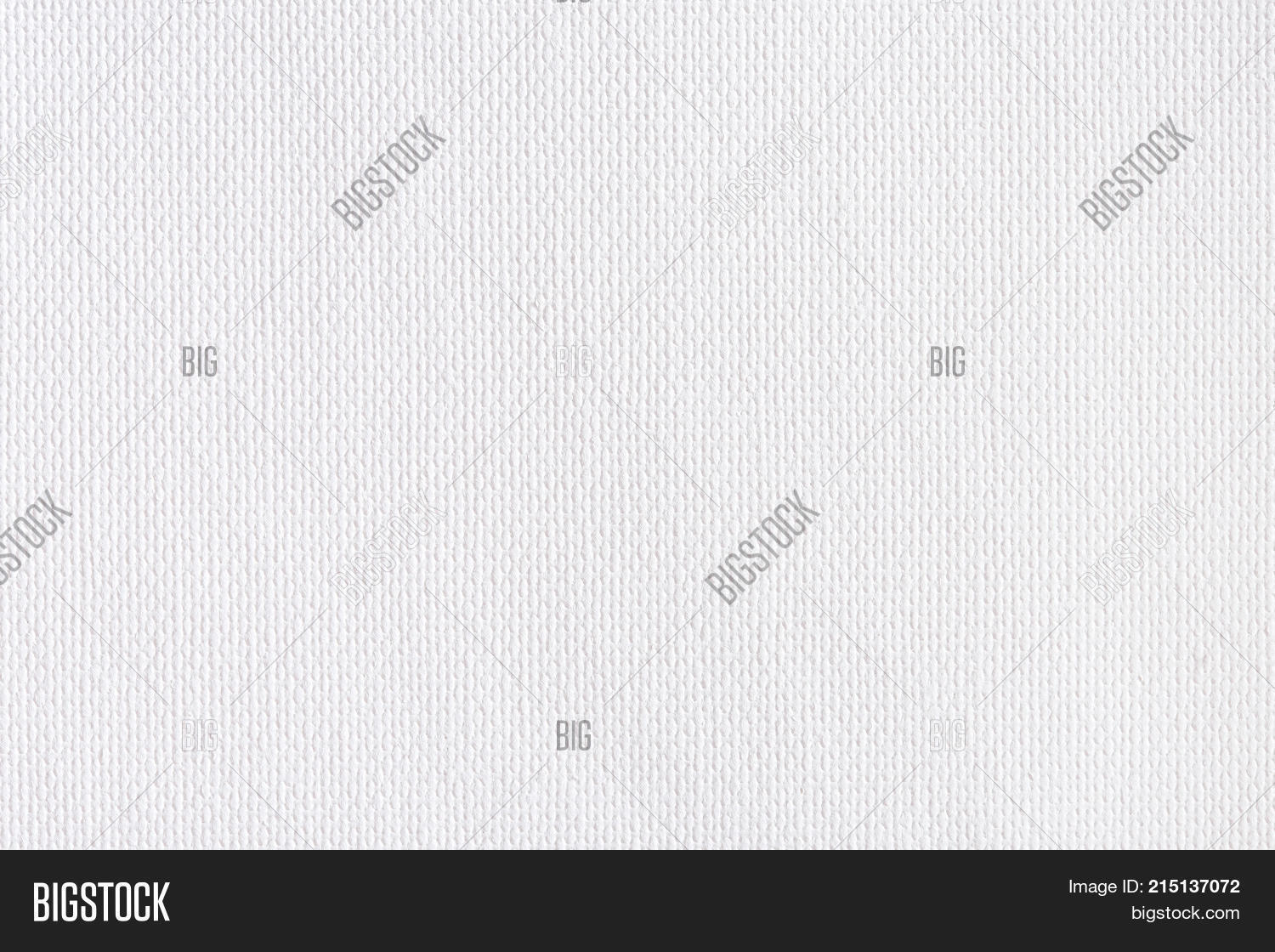 White Canvas Texture Image Photo Free Trial Bigstock