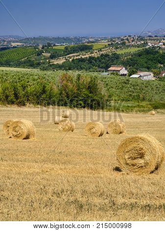 Landscape Near Ascoli Piceno At Summer