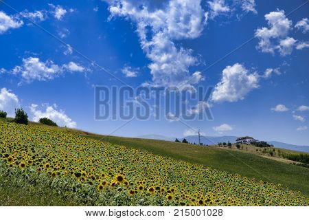 Landscape Near Ascoli Piceno At Summer