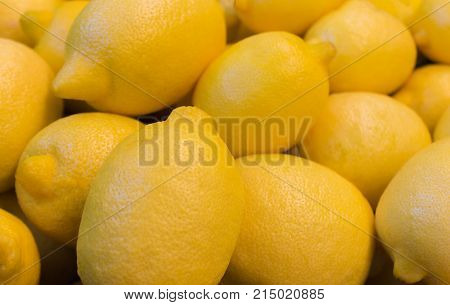 Lots of Fresh yellow lemons large closeup close