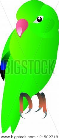 ptak