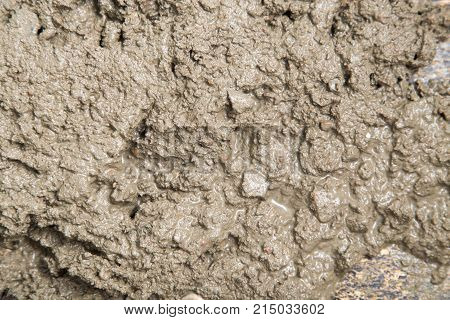 Background of the fresh cement solution . Photo of an abstract texture