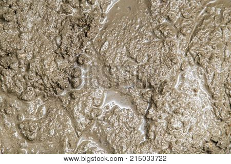 Background of the fresh cement solution . Photo of an abstract texture