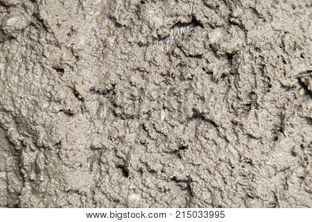 Background of the fresh cement solution . Photo of an abstract texture