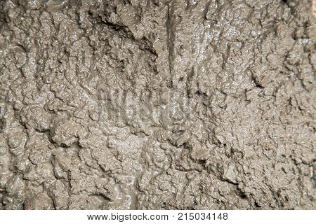 Background of the fresh cement solution . Photo of an abstract texture
