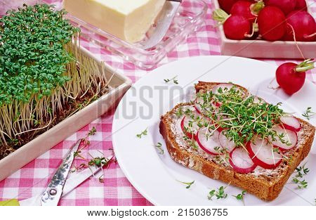 buttered bread slice with radish and cress sprouds