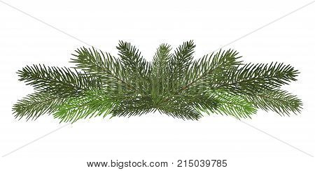 Vector illustration. Eps 10.A long garland of fir branches. Christmas decor of natural elements. Drawing. Isolated. New Year.