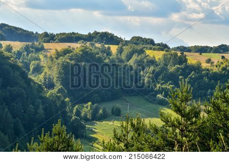 Natural green summer landscape. Beautiful Jurassic valley in Poland.