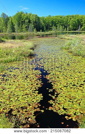 Mabel Lake Landscape in beautiful Northwoods Wisconsin