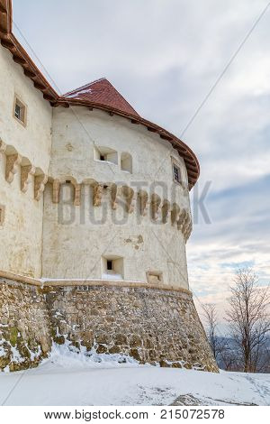Detail of the old castle Veliki Tabor in Croatia, a Croatia's northwestern fortification system.