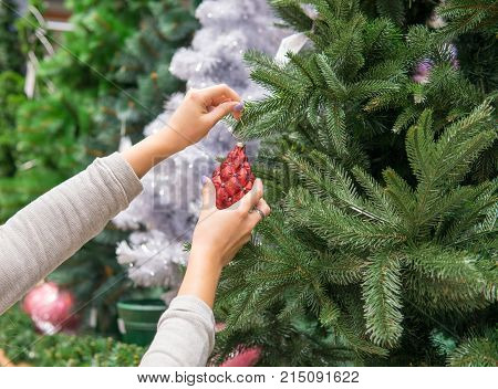 Closeup view of woman hands dressing up a Christmas tree with a red toy.