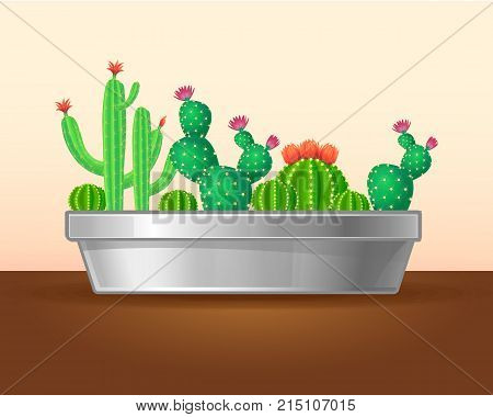 Decorative green plants concept with blooming cactuses and succulents in planter on brown table isolated vector illustration