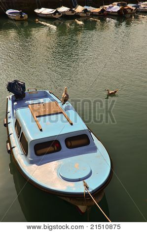 Tekne ve Martılar