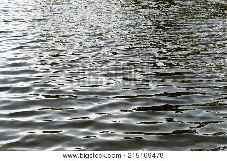 Waves on cold water. The background. Texture.