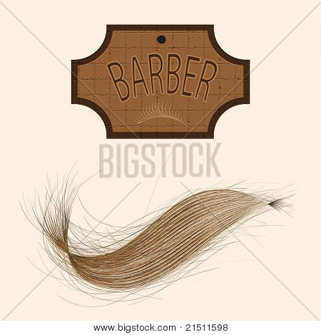 이 발사의 벡터