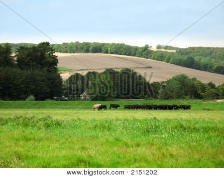 English Countryside