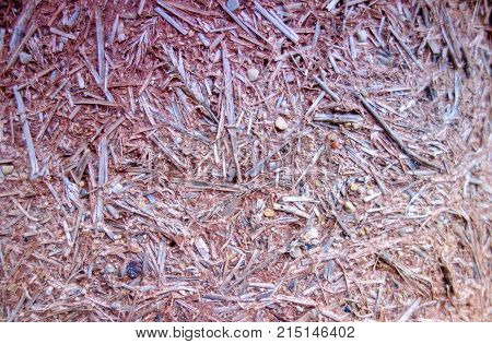 Natural building techiques using clay and sand plaster