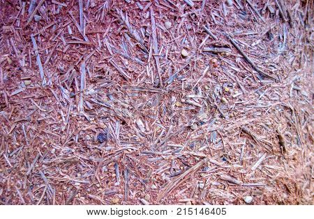 Natural building techiques using clay and sand plaster