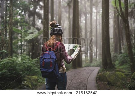 Young woman traveler looking map and walking in the nature education area in Xitou Taiwan