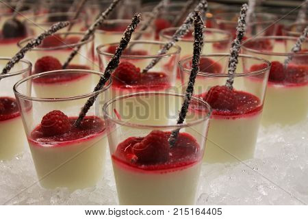 Dessert background. Close up of Panna Cotta Dessert With Forest Fruits.