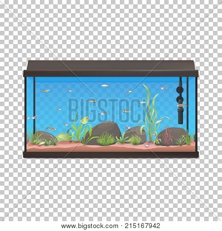 Fish tank. Aquarium illustration with fishes stones and plants. Stock vector.