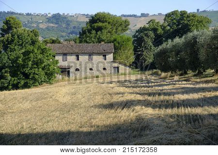 Grottammare (ascoli Piceno, Marches, Italy), Old Country House
